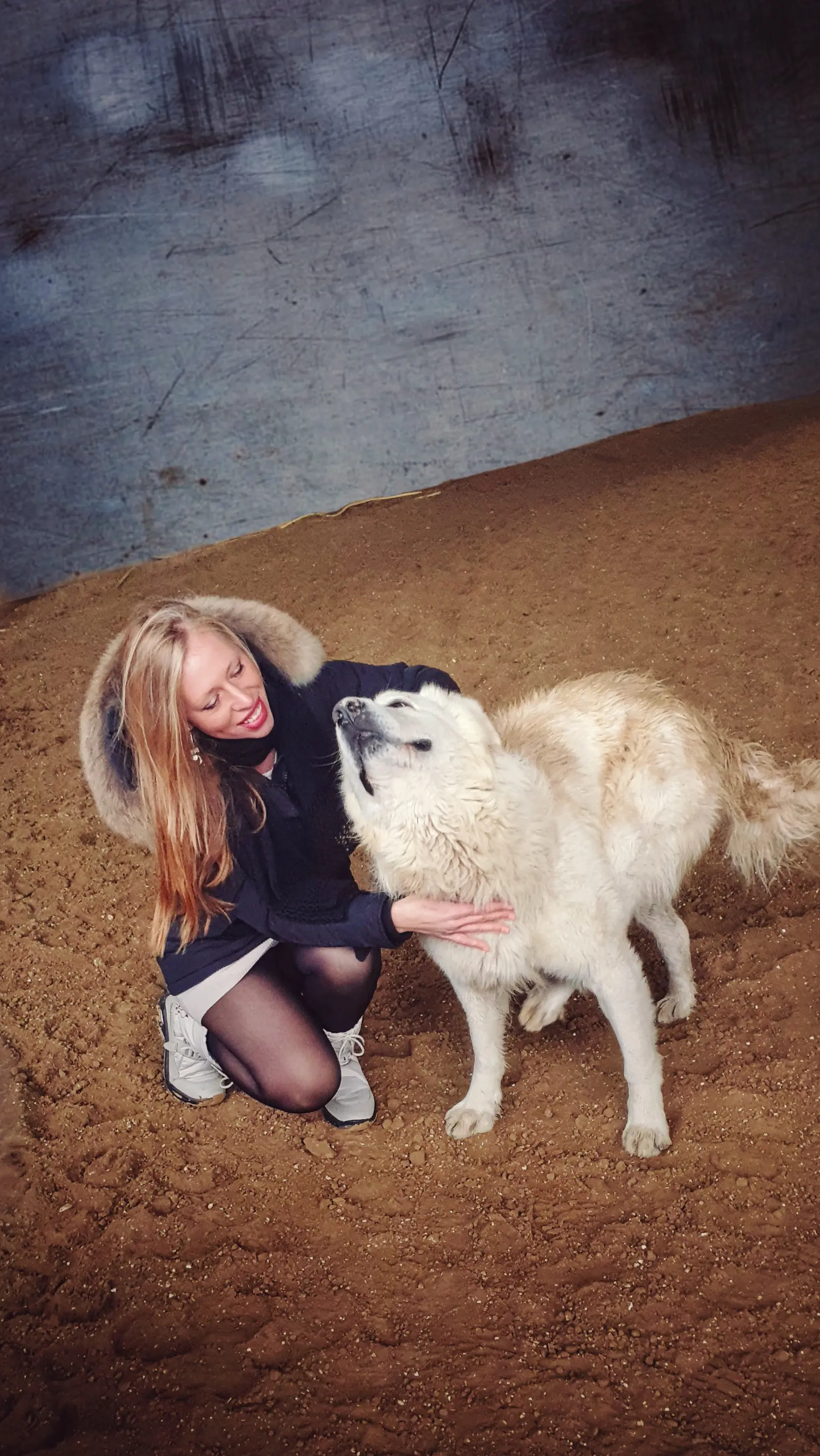 foto Perro Maremma