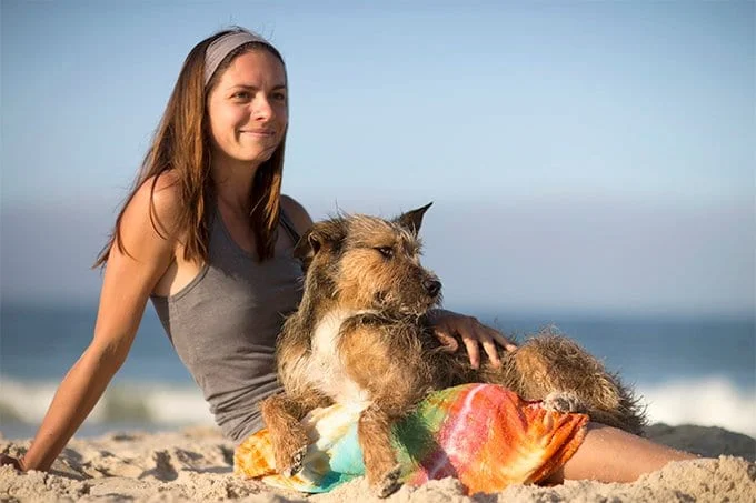 foto Perro Berger Picard